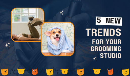 5 new trends of the pet grooming industry to offer at your pet salon to attract customers